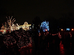 108 Toledo Zoo Light Show [2008 Dec 27]